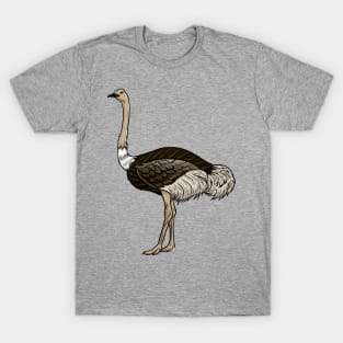 Ostrich T-Shirt